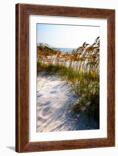 Sea Oats & Shadow II-Alan Hausenflock-Framed Photographic Print