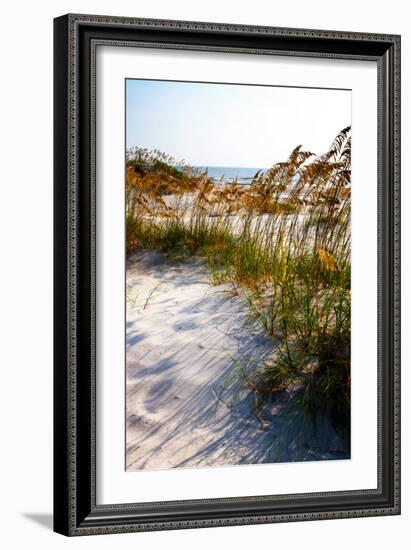 Sea Oats & Shadow II-Alan Hausenflock-Framed Photographic Print