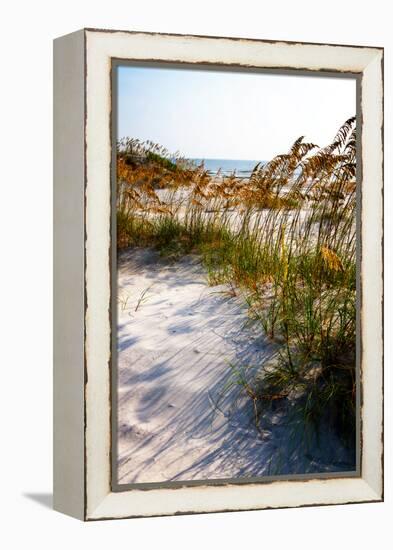 Sea Oats & Shadow II-Alan Hausenflock-Framed Stretched Canvas