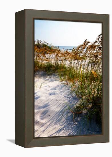 Sea Oats & Shadow II-Alan Hausenflock-Framed Stretched Canvas