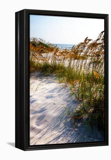 Sea Oats & Shadow II-Alan Hausenflock-Framed Stretched Canvas