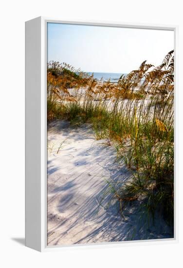 Sea Oats & Shadow II-Alan Hausenflock-Framed Stretched Canvas