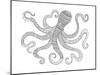 Sea Octopus-Neeti Goswami-Mounted Art Print