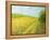 Sea Of Blossom-kirilstanchev-Framed Stretched Canvas