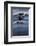 Sea of Cortez, Baja, Mexico. a Short-Finned Pilot Whale Surfaces-Janet Muir-Framed Photographic Print