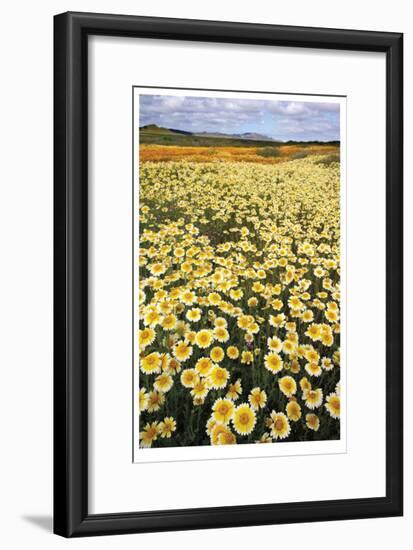 Sea of Flowers I-Donald Paulson-Framed Giclee Print