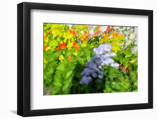 Sea of flowers-Heidi Westum-Framed Photographic Print