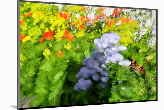 Sea of flowers-Heidi Westum-Mounted Photographic Print