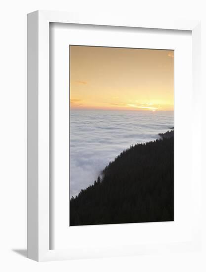 Sea of fog at the Feldberg at sunrise, Black Forest, Baden-Wurttemberg, Germany-Markus Lange-Framed Photographic Print