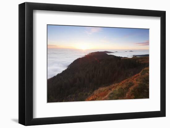 Sea of fog at the Feldberg at sunrise, Black Forest, Baden-Wurttemberg, Germany-Markus Lange-Framed Photographic Print