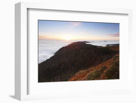 Sea of fog at the Feldberg at sunrise, Black Forest, Baden-Wurttemberg, Germany-Markus Lange-Framed Photographic Print