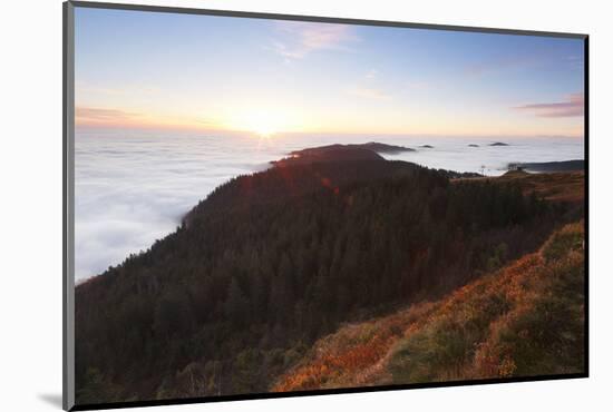 Sea of fog at the Feldberg at sunrise, Black Forest, Baden-Wurttemberg, Germany-Markus Lange-Mounted Photographic Print