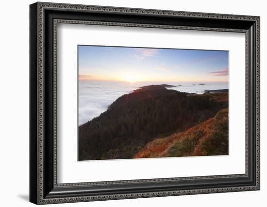 Sea of fog at the Feldberg at sunrise, Black Forest, Baden-Wurttemberg, Germany-Markus Lange-Framed Photographic Print