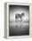 Sea of Freedom-Ben Heine-Framed Premier Image Canvas