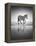 Sea of Freedom-Ben Heine-Framed Premier Image Canvas