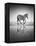 Sea of Freedom-Ben Heine-Framed Premier Image Canvas