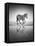 Sea of Freedom-Ben Heine-Framed Premier Image Canvas