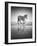 Sea of Freedom-Ben Heine-Framed Photographic Print