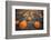 Sea of Pumpkins-Tim Oldford-Framed Photographic Print