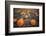 Sea of Pumpkins-Tim Oldford-Framed Photographic Print