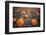 Sea of Pumpkins-Tim Oldford-Framed Photographic Print