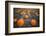 Sea of Pumpkins-Tim Oldford-Framed Photographic Print