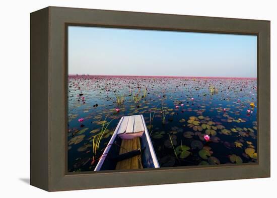 Sea of Red Lotus , Marsh Red Lotus , Small Boat in the Lotus , Caravel , Small Boat in the Sea of R-MSPT-Framed Premier Image Canvas