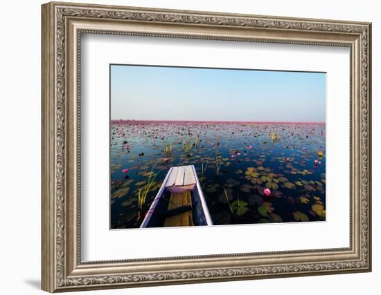 Sea of Red Lotus , Marsh Red Lotus , Small Boat in the Lotus , Caravel , Small Boat in the Sea of R-MSPT-Framed Photographic Print