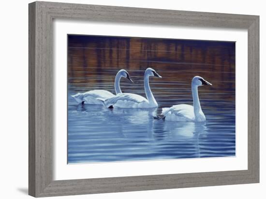 Sea of Tranquility-Rusty Frentner-Framed Giclee Print