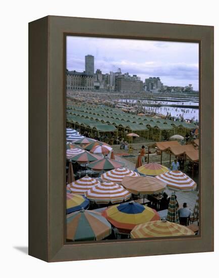 Sea of Umbrellas and Canvas Nearly Covers Mar Del Plata Beach-Leonard Mccombe-Framed Premier Image Canvas