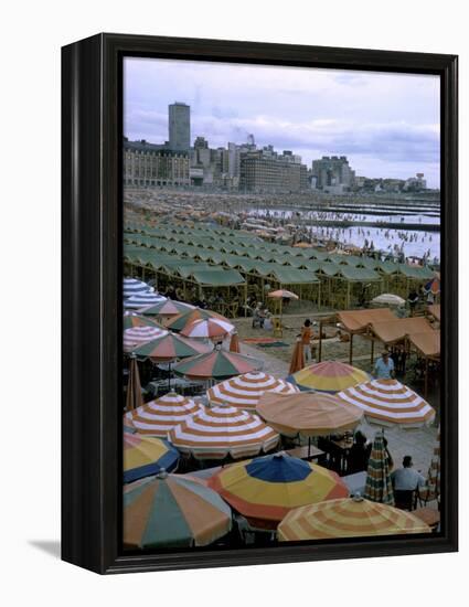 Sea of Umbrellas and Canvas Nearly Covers Mar Del Plata Beach-Leonard Mccombe-Framed Premier Image Canvas