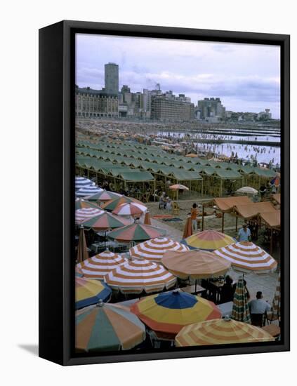 Sea of Umbrellas and Canvas Nearly Covers Mar Del Plata Beach-Leonard Mccombe-Framed Premier Image Canvas