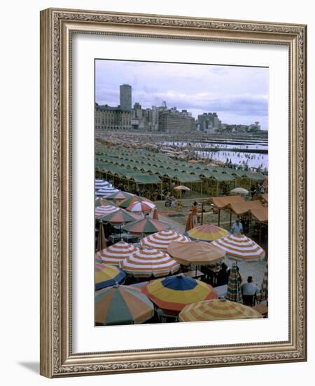Sea of Umbrellas and Canvas Nearly Covers Mar Del Plata Beach-Leonard Mccombe-Framed Photographic Print