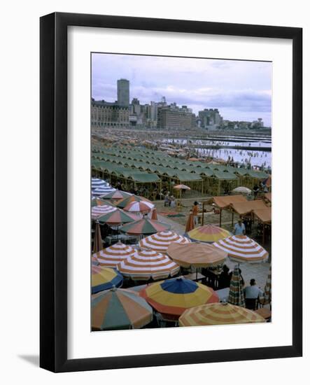 Sea of Umbrellas and Canvas Nearly Covers Mar Del Plata Beach-Leonard Mccombe-Framed Photographic Print