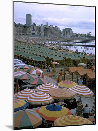 Sea of Umbrellas and Canvas Nearly Covers Mar Del Plata Beach-Leonard Mccombe-Mounted Photographic Print