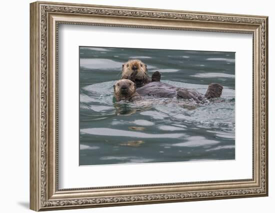 Sea otter and pup, Icy Strait, Alaska, USA-Art Wolfe-Framed Photographic Print