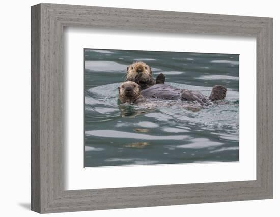 Sea otter and pup, Icy Strait, Alaska, USA-Art Wolfe-Framed Photographic Print