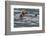 Sea otter and pup, Icy Strait, Alaska, USA-Art Wolfe-Framed Photographic Print