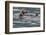 Sea otter and pup, Icy Strait, Alaska, USA-Art Wolfe-Framed Photographic Print