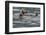 Sea otter and pup, Icy Strait, Alaska, USA-Art Wolfe-Framed Photographic Print