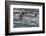 Sea otter and pup, Icy Strait, Alaska, USA-Art Wolfe-Framed Photographic Print