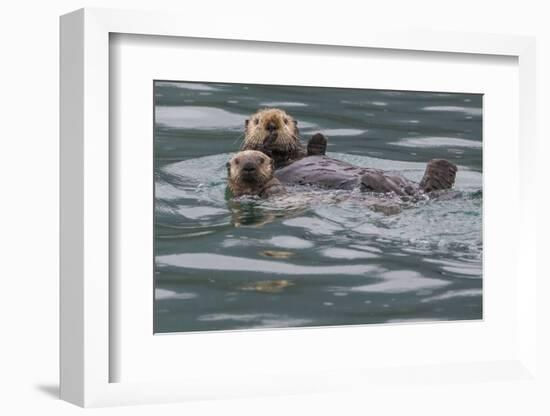 Sea otter and pup, Icy Strait, Alaska, USA-Art Wolfe-Framed Photographic Print