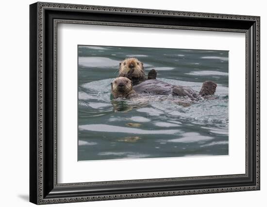 Sea otter and pup, Icy Strait, Alaska, USA-Art Wolfe-Framed Photographic Print