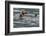 Sea otter and pup, Icy Strait, Alaska, USA-Art Wolfe-Framed Photographic Print