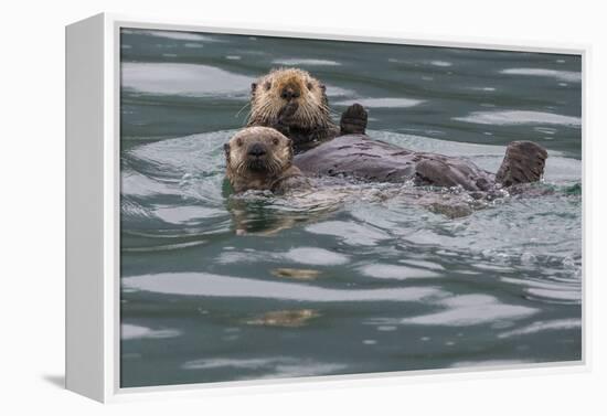 Sea otter and pup, Icy Strait, Alaska, USA-Art Wolfe-Framed Premier Image Canvas