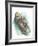 Sea Otter Enhydra Lutris Resting with Cub in Water-null-Framed Giclee Print