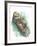 Sea Otter Enhydra Lutris Resting with Cub in Water-null-Framed Giclee Print