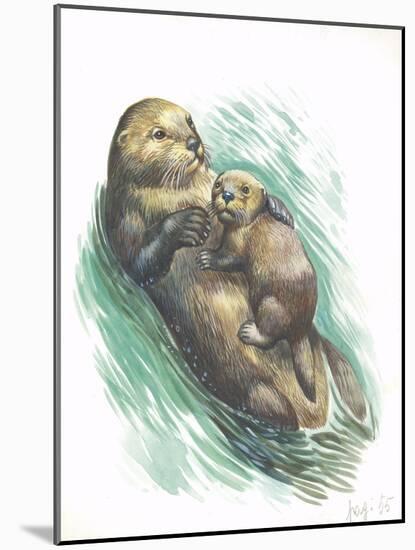 Sea Otter Enhydra Lutris Resting with Cub in Water-null-Mounted Giclee Print