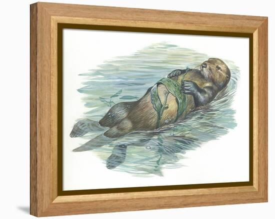 Sea Otter Enhydra Lutris Sleeping in Water-null-Framed Premier Image Canvas