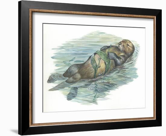 Sea Otter Enhydra Lutris Sleeping in Water-null-Framed Giclee Print